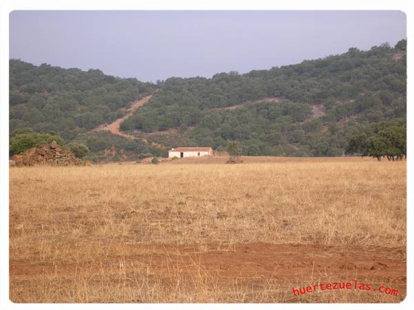 Cortijo del Llano-Sierra